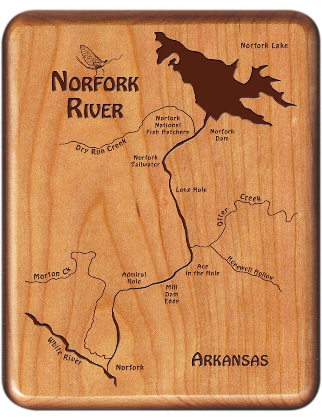 Topographical Fishing Map Of Lake Livingston With
