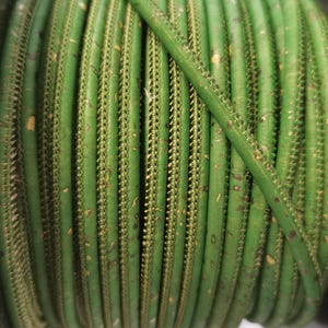 Puede incluir: Primer plano de un carrete de cordón verde con una superficie texturizada. El cordón está hecho de corcho y tiene un hilo dorado que recorre el borde.