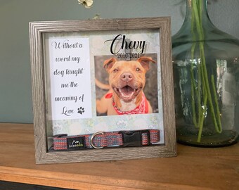 dog collar shadow box