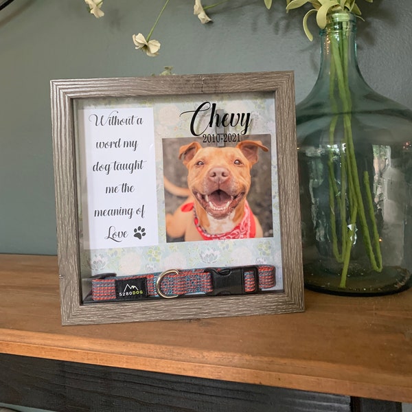 Pérdida personalizada de regalo de mascota Pet Collar caja de memoria sin una palabra mi perro me enseñó a amar la simpatía regalo por la muerte de la foto de sombra de mascota
