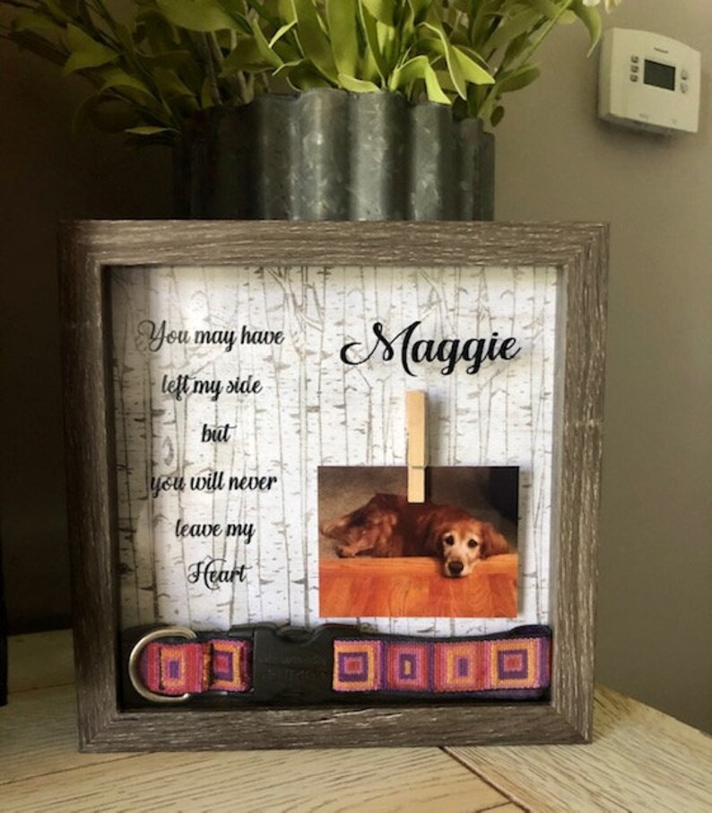 Personalized PHOTO Pet Memorial Box Pet Collar shadow box Etsy