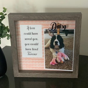 Personalized Pet Memorial Dog Collar Holder, Dog Loss, If Love could of saved you, Pet Keepsake, In Loving Memory, Loss Photo Frame