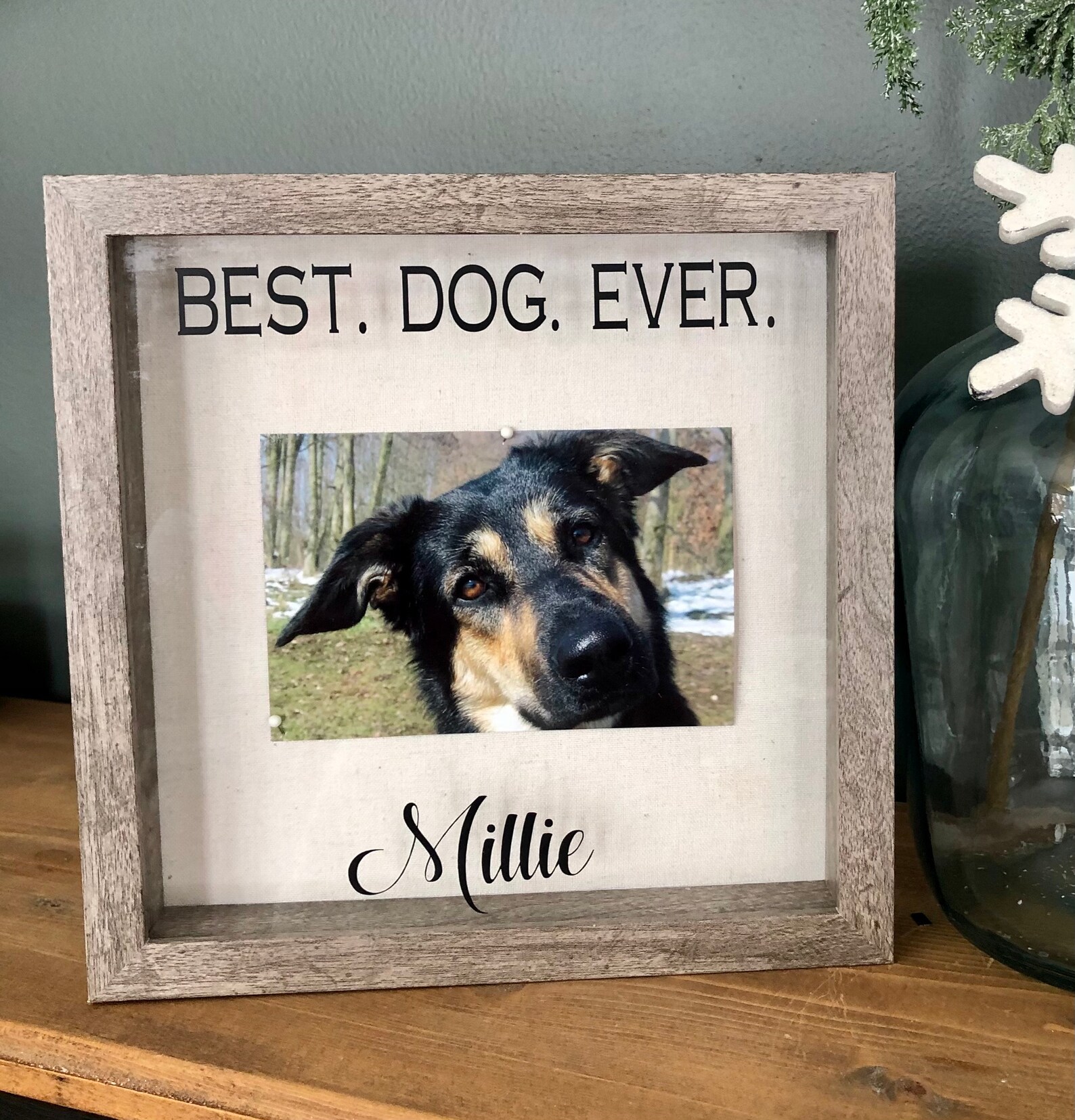 Personalized Pet Memorial Shadow Box 9 X 9 Sympathy Box for Etsy