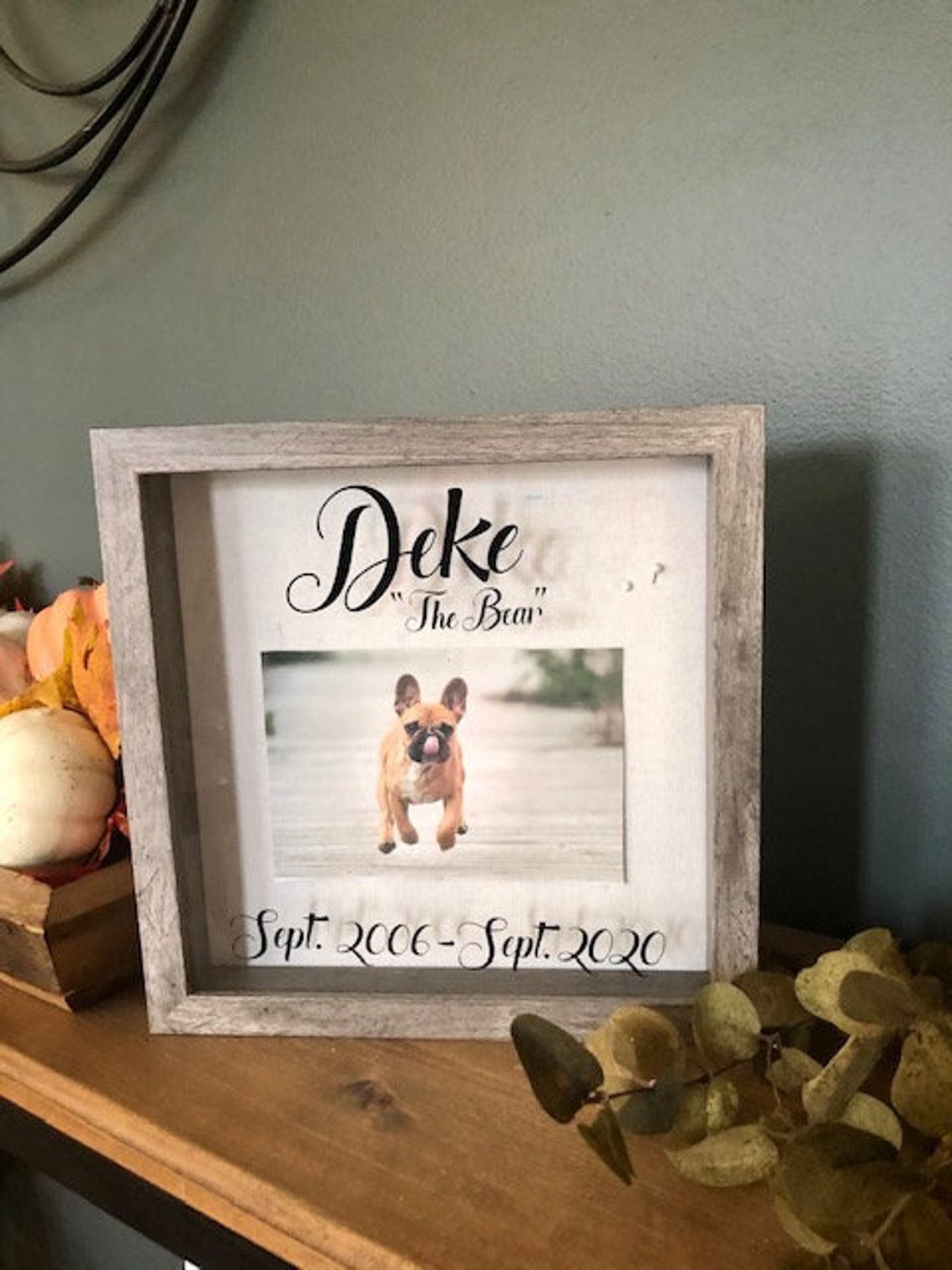 Custom Pet Memorial Shadow Box With Name Photo Collar Paw Etsy