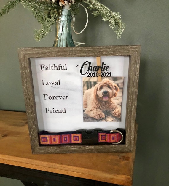 My pet cheap gift box