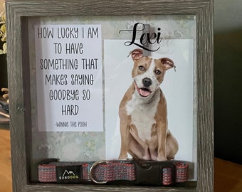 How lucky I am to have something that makes saying goodbye so hard Personalized loss of pet gift Collar sympathy gift for death of pet photo