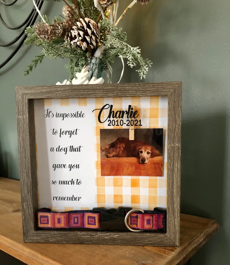 Personalized PHOTO Pet Memorial Box Pet Collar Shadow Box Etsy
