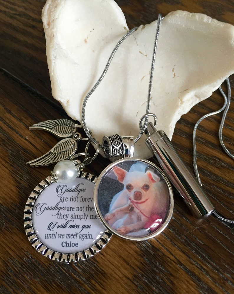 Custom Pet Photo necklace Personalized Cremation necklace ...
