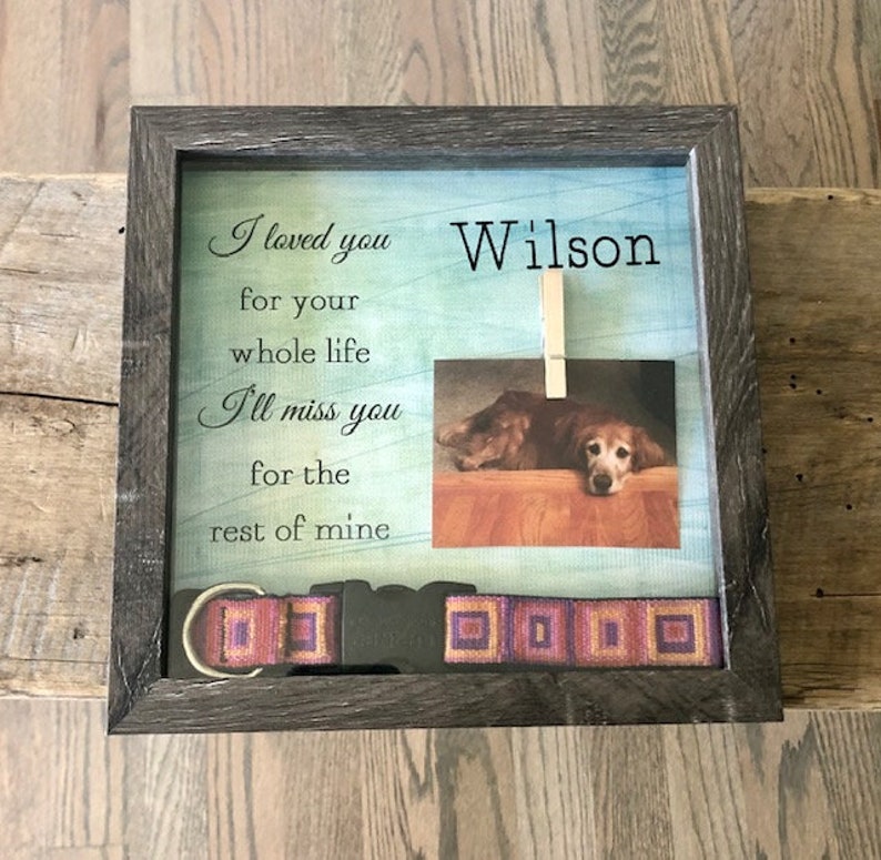 Personalized PHOTO Pet Memorial Box Pet Collar shadow box Etsy