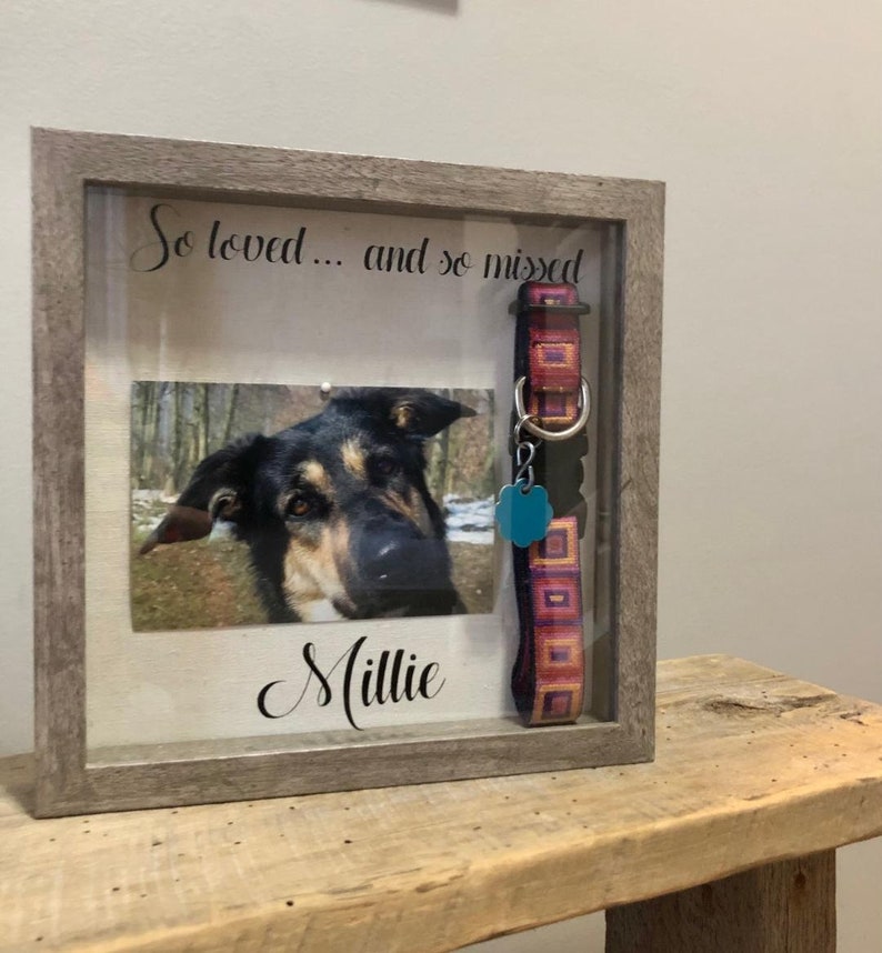 Personalized Pet Memorial Shadow Box 9 X 9 Sympathy Box for Etsy