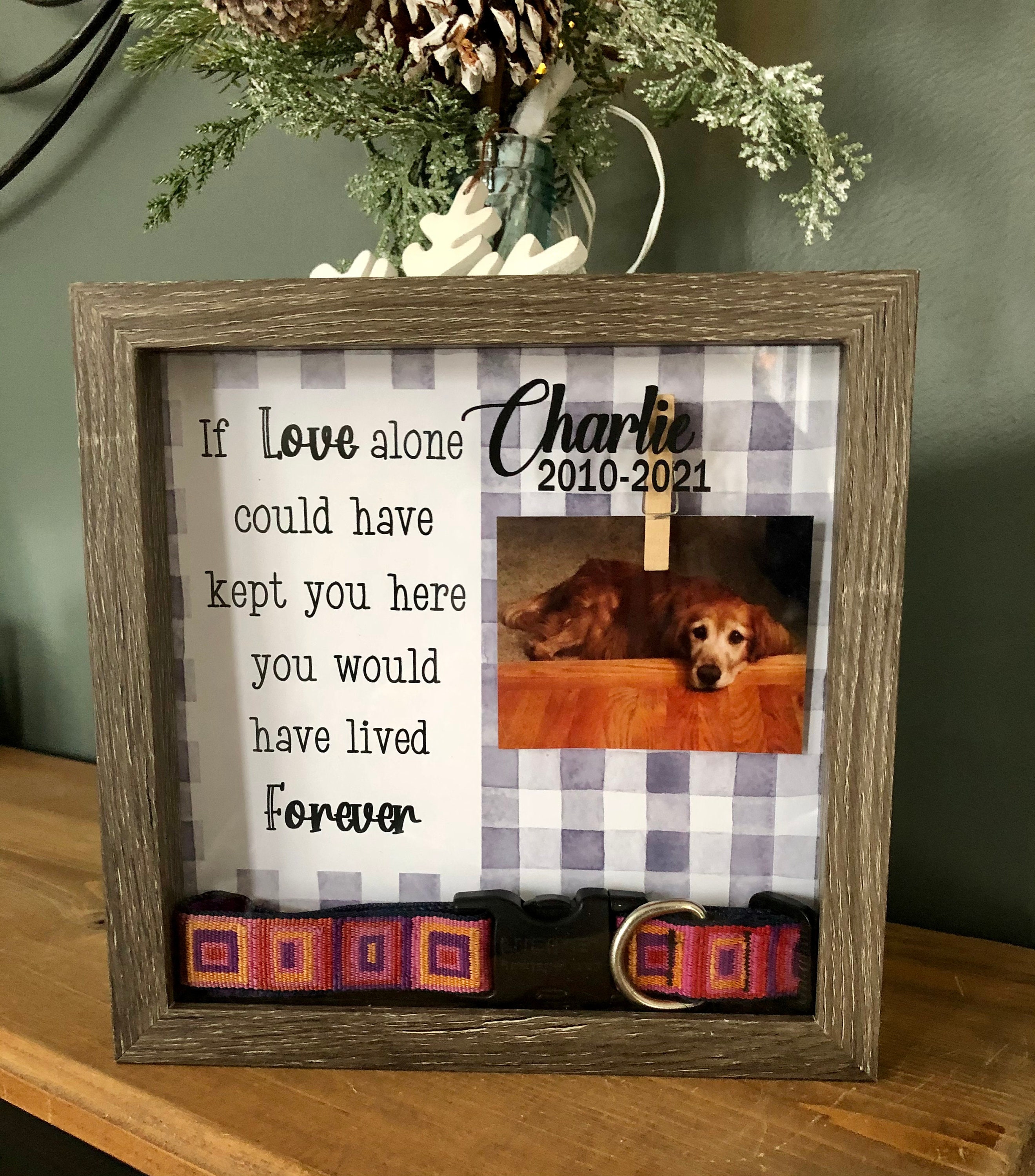 Personalized PHOTO Pet Memorial Box - Pet Collar Shadow Box Personalized PHOTO Pet Memorial Box - Pet Collar Shadow Box