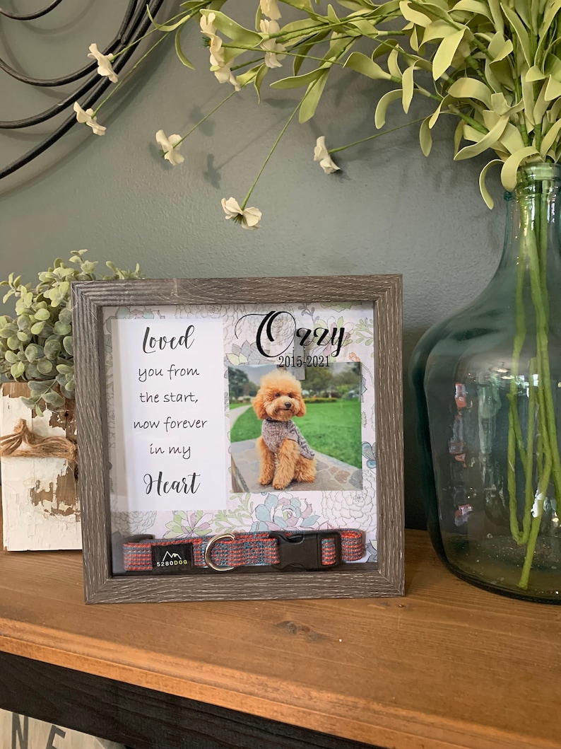 Personalized PHOTO Pet Memorial Box Pet Collar Shadow Box Etsy