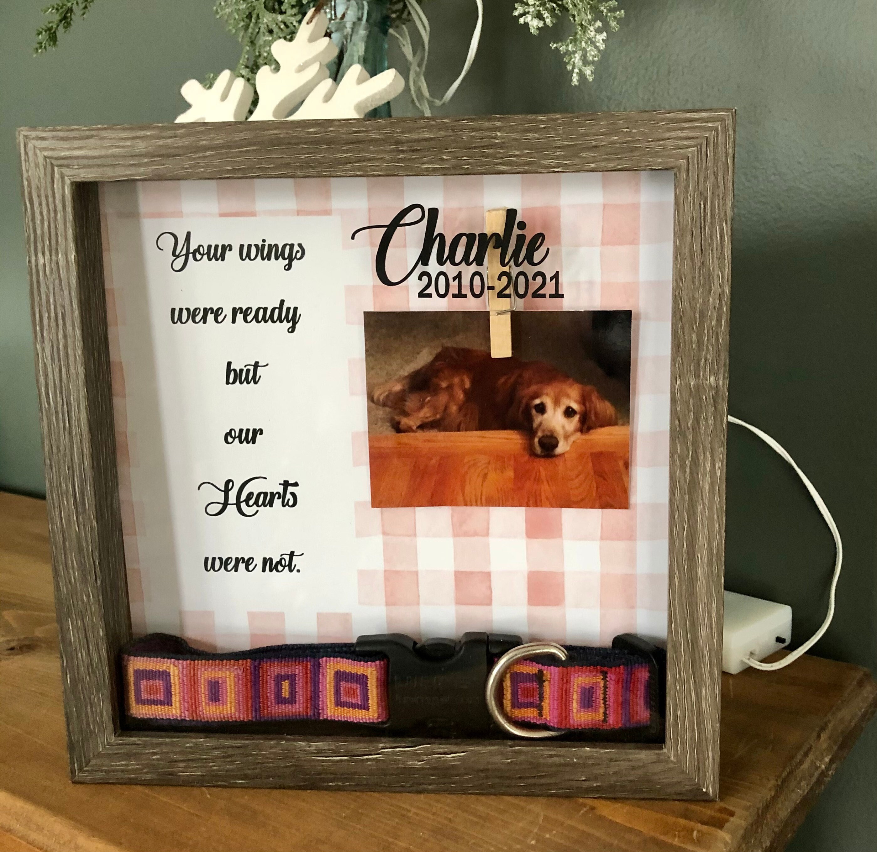 Personalized PHOTO Pet Memorial Box Pet Collar Shadow Box Etsy Canada