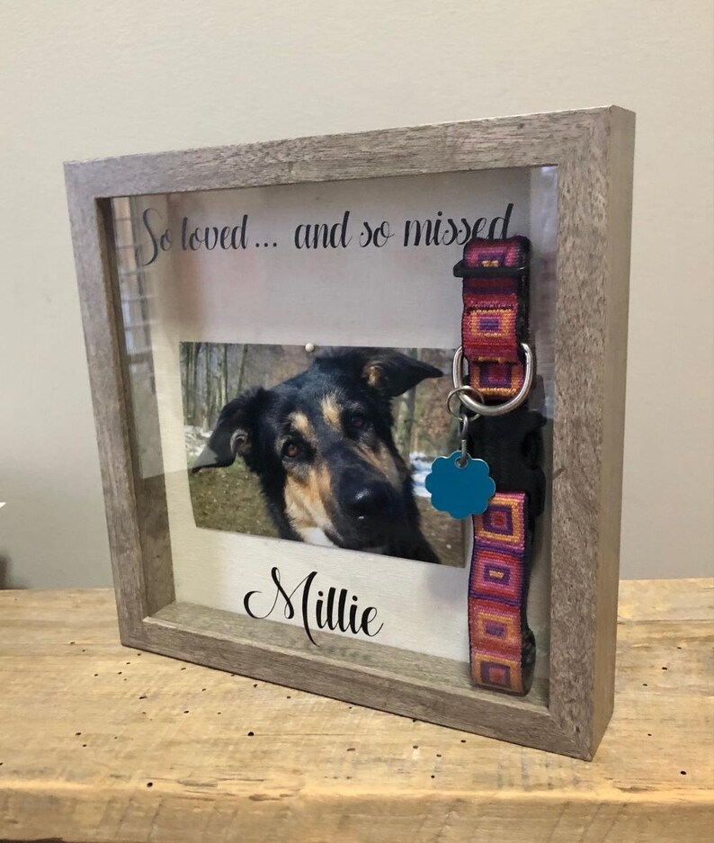 Personalized Pet Memorial Shadow Box 9 X 9 Sympathy Box for Etsy