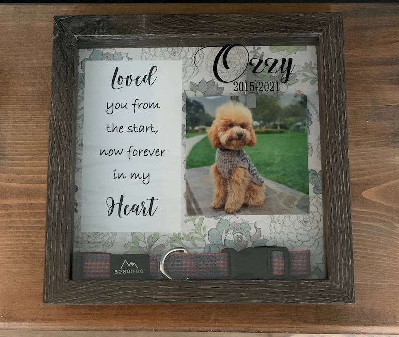 Personalized PHOTO Pet Memorial Box Pet Collar Shadow Box Etsy