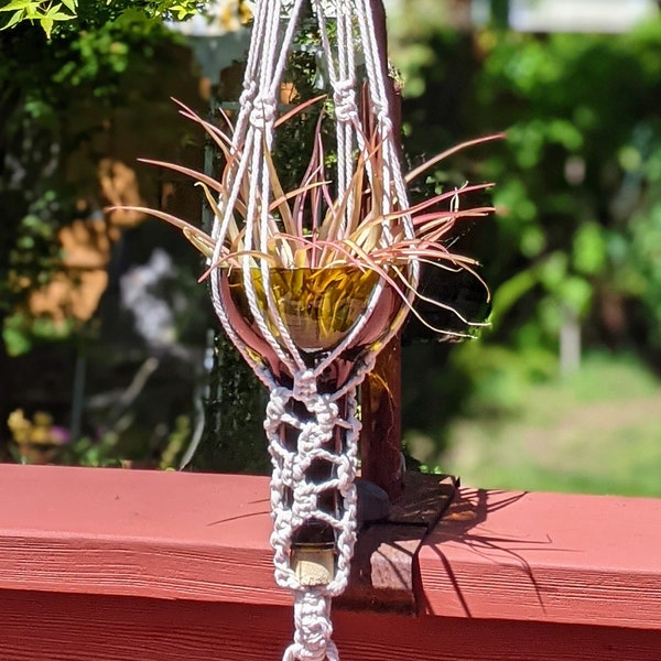 Wine Bottle Planter with Macrame Plant Hanger - Hanging Macrame Wine Bottle Planter - Recycled Glass Planter