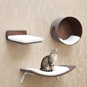 Puede incluir: Un conjunto de muebles de pared para gatos que incluye un estante rectangular marrón oscuro con cojín blanco, un túnel circular marrón oscuro con cojín blanco y un estante hamaca curvo con un gato atigrado.