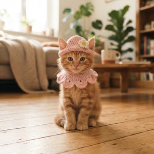 Puede incluir: Un gatito atigrado naranja lleva un gorro de ganchillo rosa claro con una pequeña flor blanca y un cuello de ganchillo rosa claro a juego con bordes festoneados. El gatito está sentado erguido sobre un suelo de madera mirando al frente.