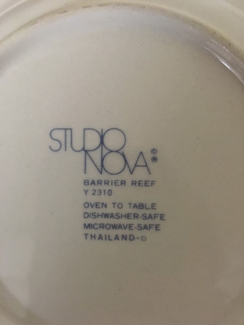 Studio Nova Barrier Reef 8 SoupSalad Bowl Fish and Foliage 1990s Thailand