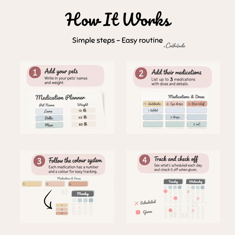 K&ouml;nnte beinhalten: Eine Anleitungsgrafik mit dem Titel How It Works und dem Untertitel Simple steps - Easy routine von Calhilude. Sie zeigt vier nummerierte Schritte f&uuml;r einen Haustier-Medikamentenplaner, inklusive der Eingabe von Namen, Gewicht und Dosierung.