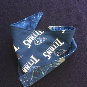 Dog/Cat Titans Bandana