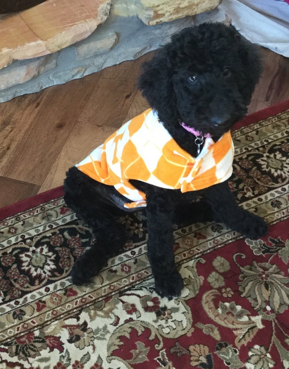 ut dog jersey