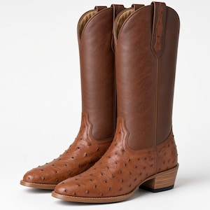 Pode incluir: Um par de botas de estilo western castanhas com um peito do pé texturizado com pontos e um cano alto e liso. As botas têm uma biqueira pontiaguda, um salto de madeira empilhado com base preta e costuras decorativas ao longo do cano.