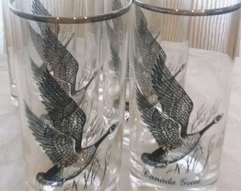 Set of 6 Sportsman silver rimmed Canada Goose drinking glasses - free ship