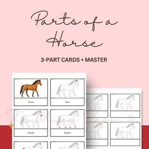 Könnte beinhalten: Pädagogische 3-Teile-Karten mit dem Titel Parts of a Horse, die eine braune Pferdeillustration und Strichzeichnungen zeigen, welche Körperteile wie Ohren, Maul, Hufe, Schweif und Knie mit roten Akzenten hervorheben. Inklusive einer Master-Vorlage.
