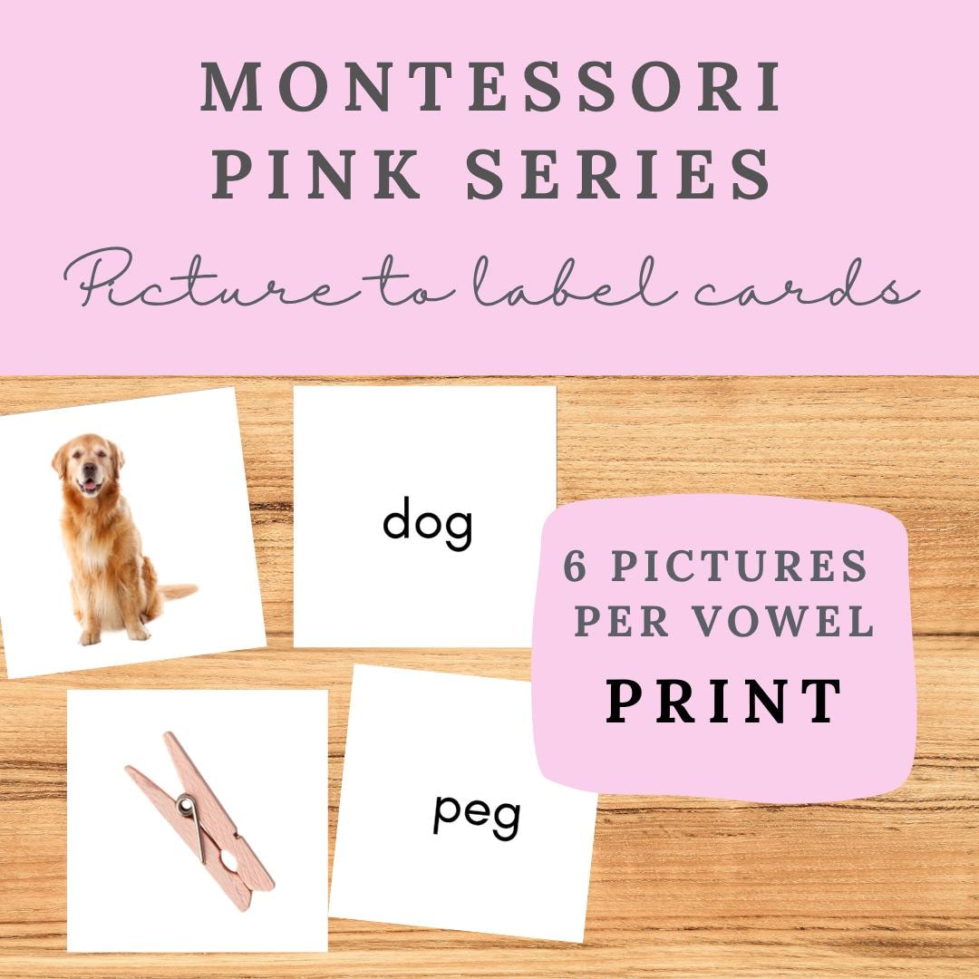 Pictures to Labels | Montessori Pink Series Language | CVC Reading ...