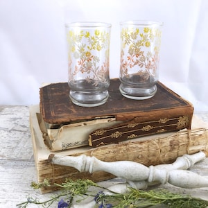 Coppia di bicchieri da succo vintage con motivo floreale sfumato