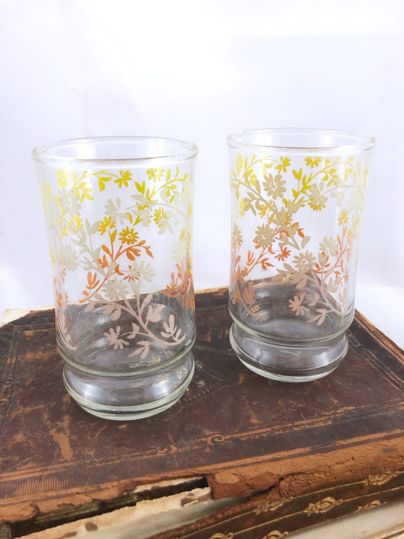 Pair of Vintage Ombre Floral Juice Glasses - Etsy