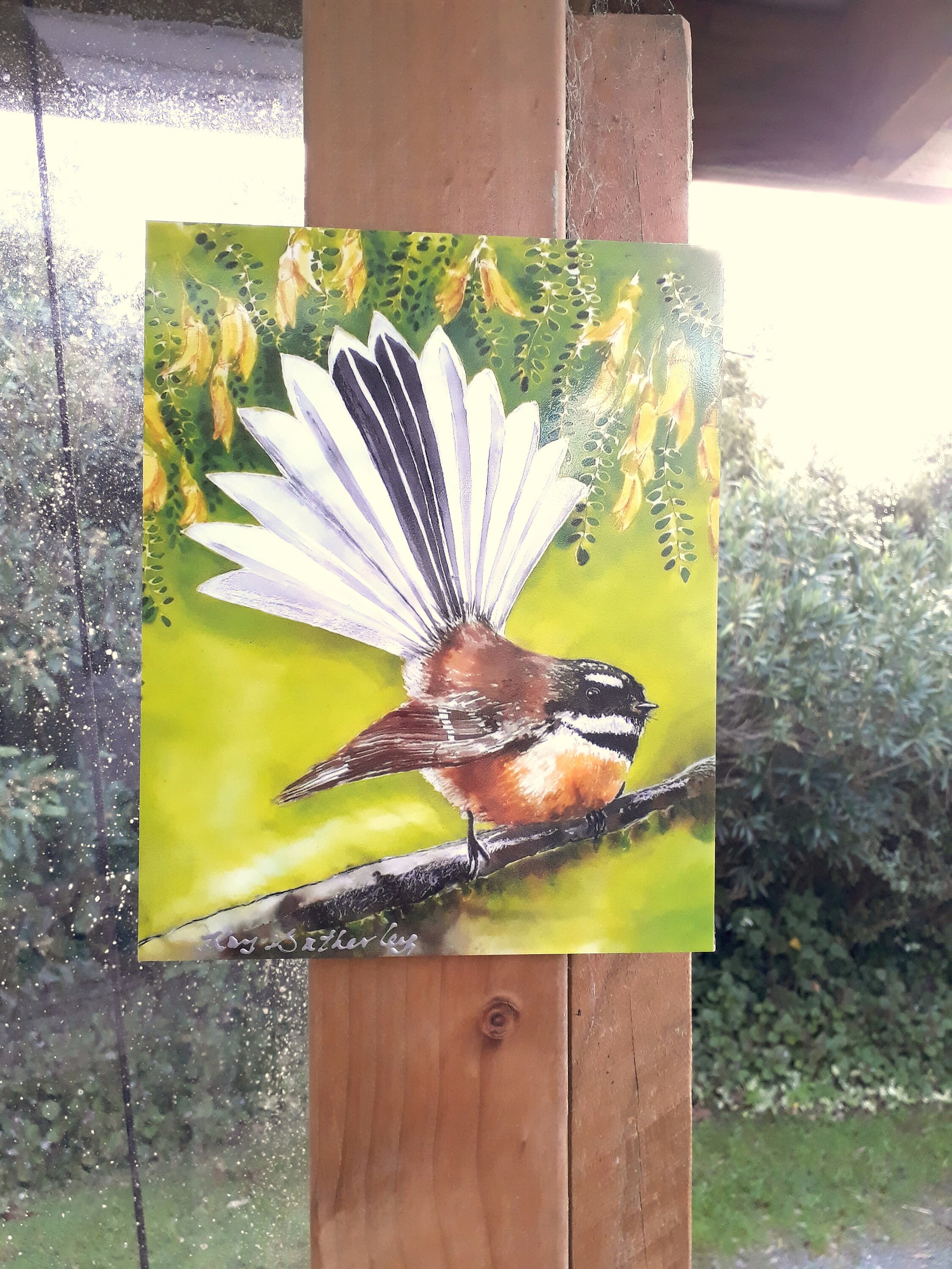 New Zealand Fantail Bird Outdoor Artwork Outside Art Denmark New Zealand Fantail Bird Outdoor, Outdoor Wall Art Panels Nz