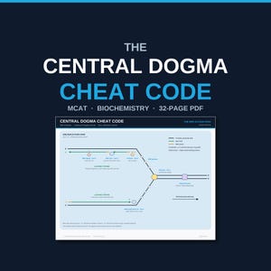 Puede incluir: Un PDF de 32 páginas titulado THE CENTRAL DOGMA CHEAT CODE para bioquímica MCAT. El documento presenta un diagrama azul claro de una horquilla de replicación, ilustrando la ADN polimerasa, helicasa y topoisomerasa con etiquetas y líneas.
