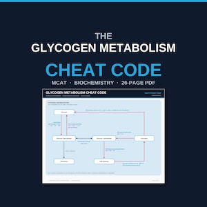 May include: A 26-page PDF titled The Glycogen Metabolism Cheat Code for MCAT biochemistry. The document features a light blue diagram illustrating the synthesis and breakdown pathways of glucose, glucose 6-phosphate, glucose 1-phosphate, and glycogen.