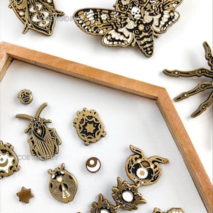 Shy & Coey: Shadow Box Occult Insects Pins image 8