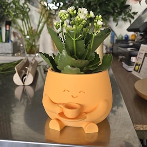 Peut inclure: Un cache-pot orange mat en forme de personnage avec des bras et des jambes, tenant une petite tasse et une soucoupe assorties. Le cache-pot présente un visage souriant et contient une plante verte avec de petites fleurs blanches au sommet.