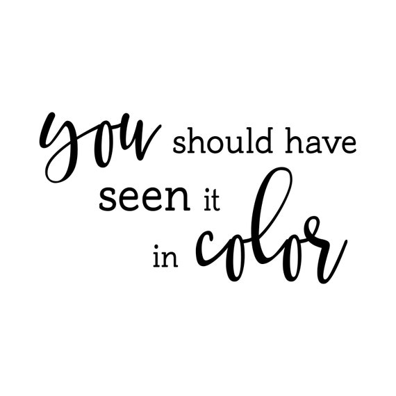 You Should Have Seen It In Color Vinyl Wall Decal Living Etsy