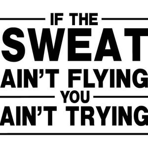 If the sweat ain't flying you ain't trying, workout room, weight room, home gym, wall decal gym quote, motivational saying, exercise HH2194 image 2