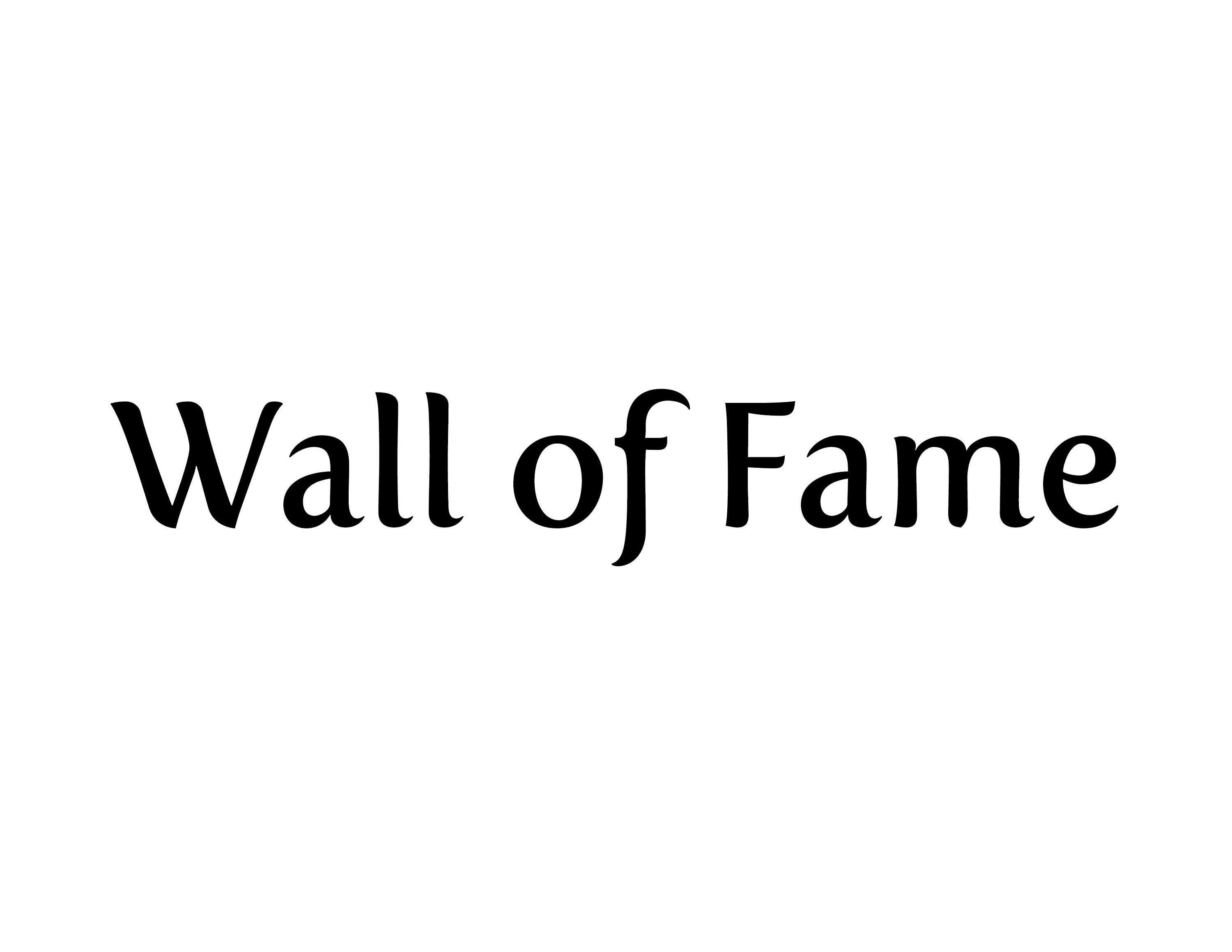 Wall of Fame Removable Vinyl Wall Decal Living Room Decor Etsy Canada