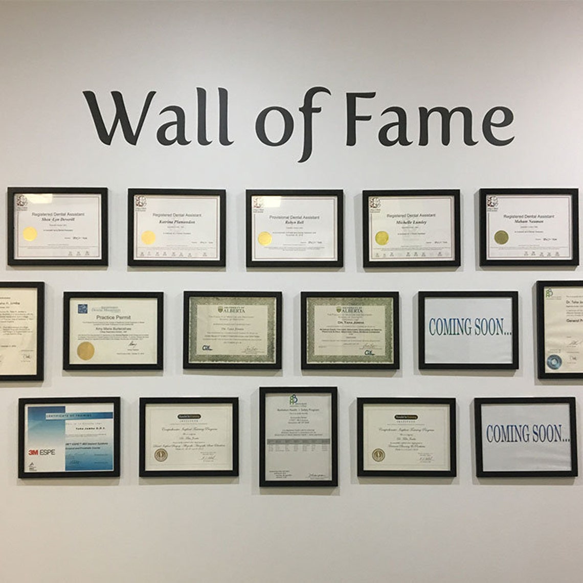 Wall of Fame removable vinyl wall decal living room decor Etsy