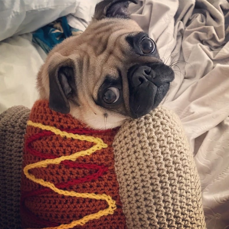 Hotdog dog sweater image 6