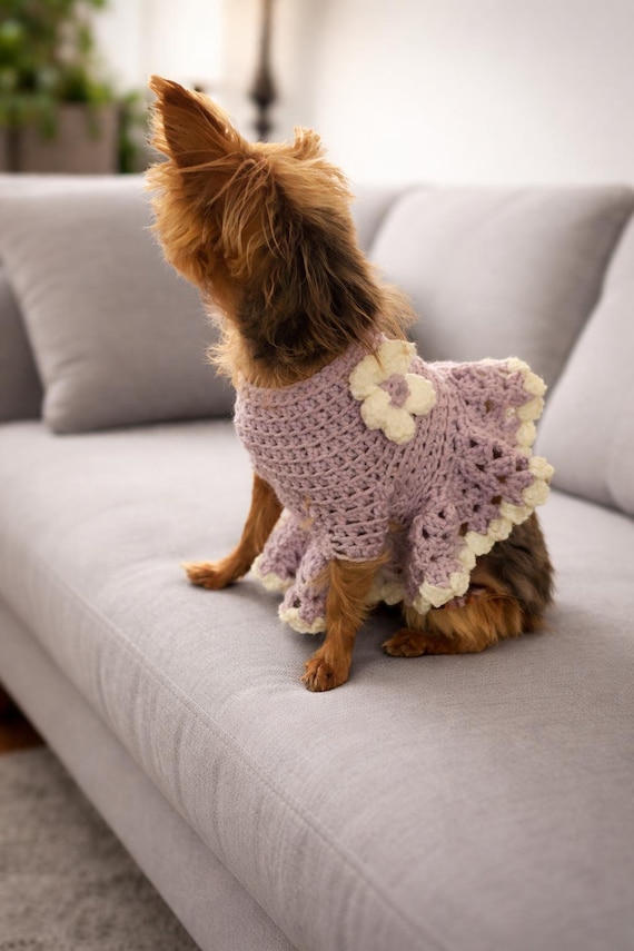 crochet dog dress Crochet a dog spring dress | Small | Full tutorial