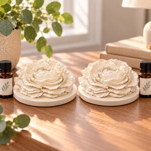 Bundle of Two Diffusers and Two Oil Bottles, Bible Study Devotional Time Fragrance Set, Gift Boxed, Christmas Gift