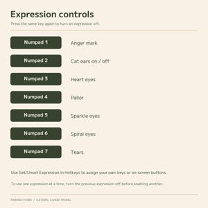 English expression controls for Numpad keys 1 to 7, with instructions for reassigning hotkeys.