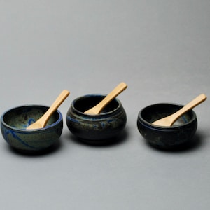 Condiment Serving Set with Wood Spoons V 50