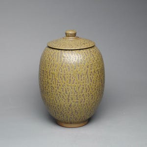 May include: A ceramic jar with a lid, featuring an oval body and a narrow base. The exterior surface is covered in a textured, moss-green glaze with a network of dark brown, vein-like patterns that create a crackled, organic appearance throughout.