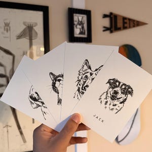 May include: Four white rectangular cards featuring black ink illustrations of animal faces. The cards are fanned out, displaying detailed sketches of a cat and three dogs. The rightmost card features a dog portrait with the name JACK printed below.