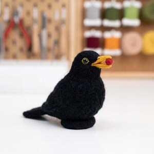 Bird Needle Felting Kit for Beginners | Wool Supplies+Step Guide, DIY Craft, Stress Relief Hobby, Gift for Crafters, Birthday Present