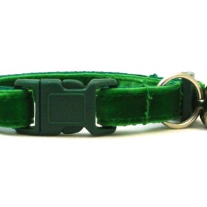 May include: A green velvet cat collar with a plastic buckle and a silver bell.